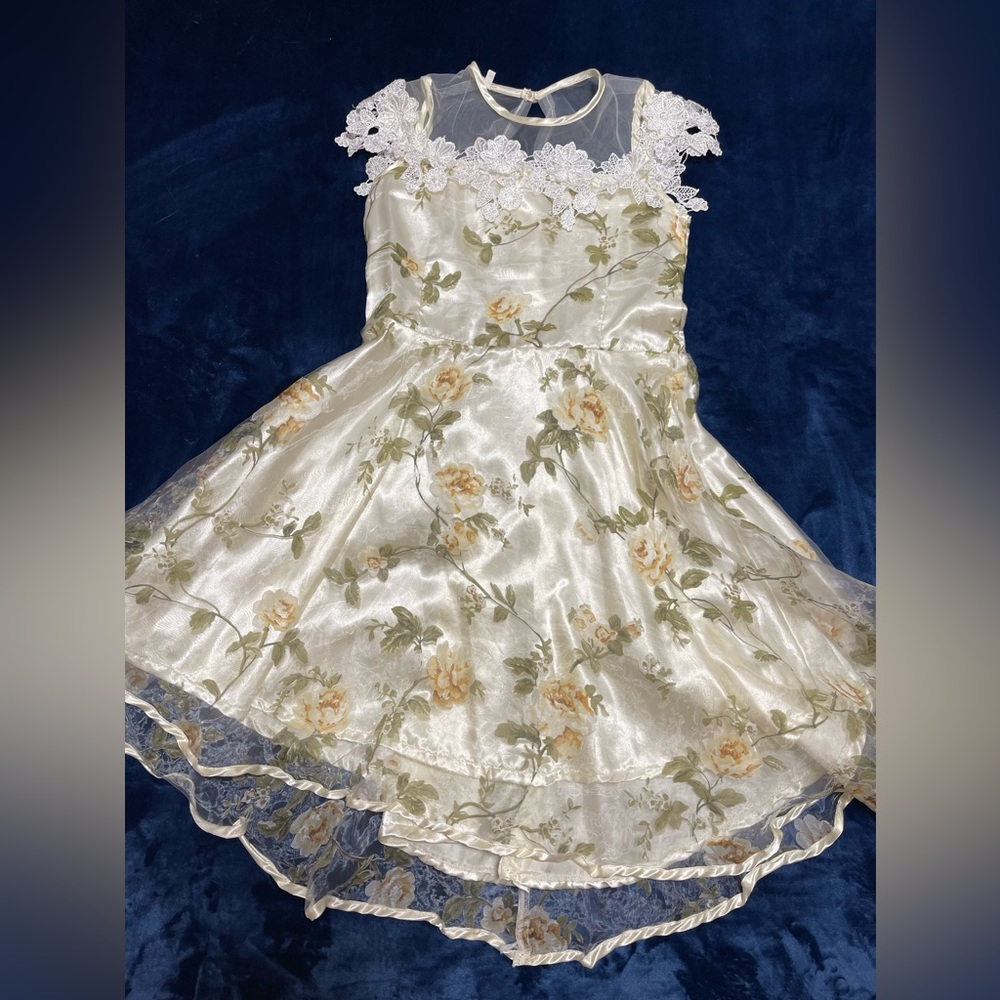 Festive dress